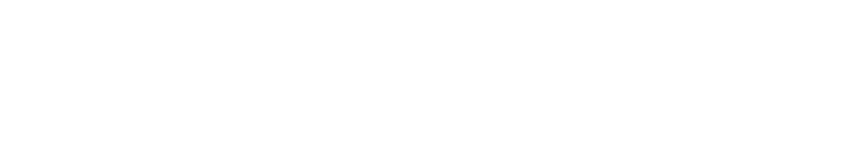 Logo Via Verplancke wit